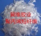厂家供应聚丙烯纤维抗裂纤维建筑工程纤维PP聚丙烯纤维厂家
